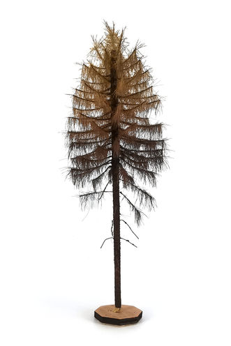 Dry Larch Tree Model 20-22 cm