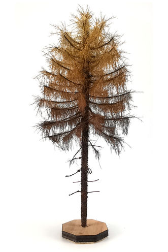 Dry Larch Tree Model 14-16 cm