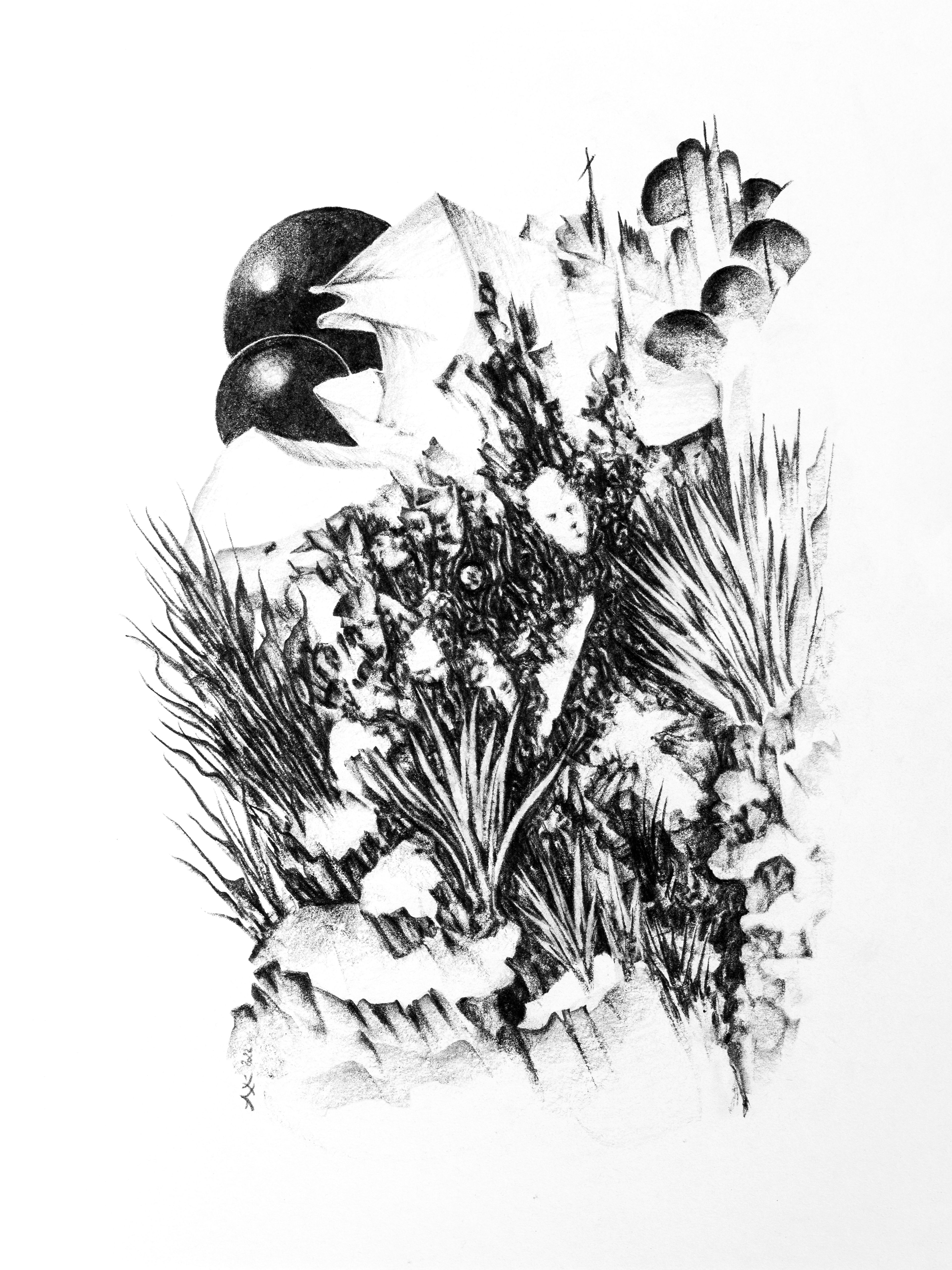 Votre espace intérieur — Graphite sur papier — 40 x 30 cm