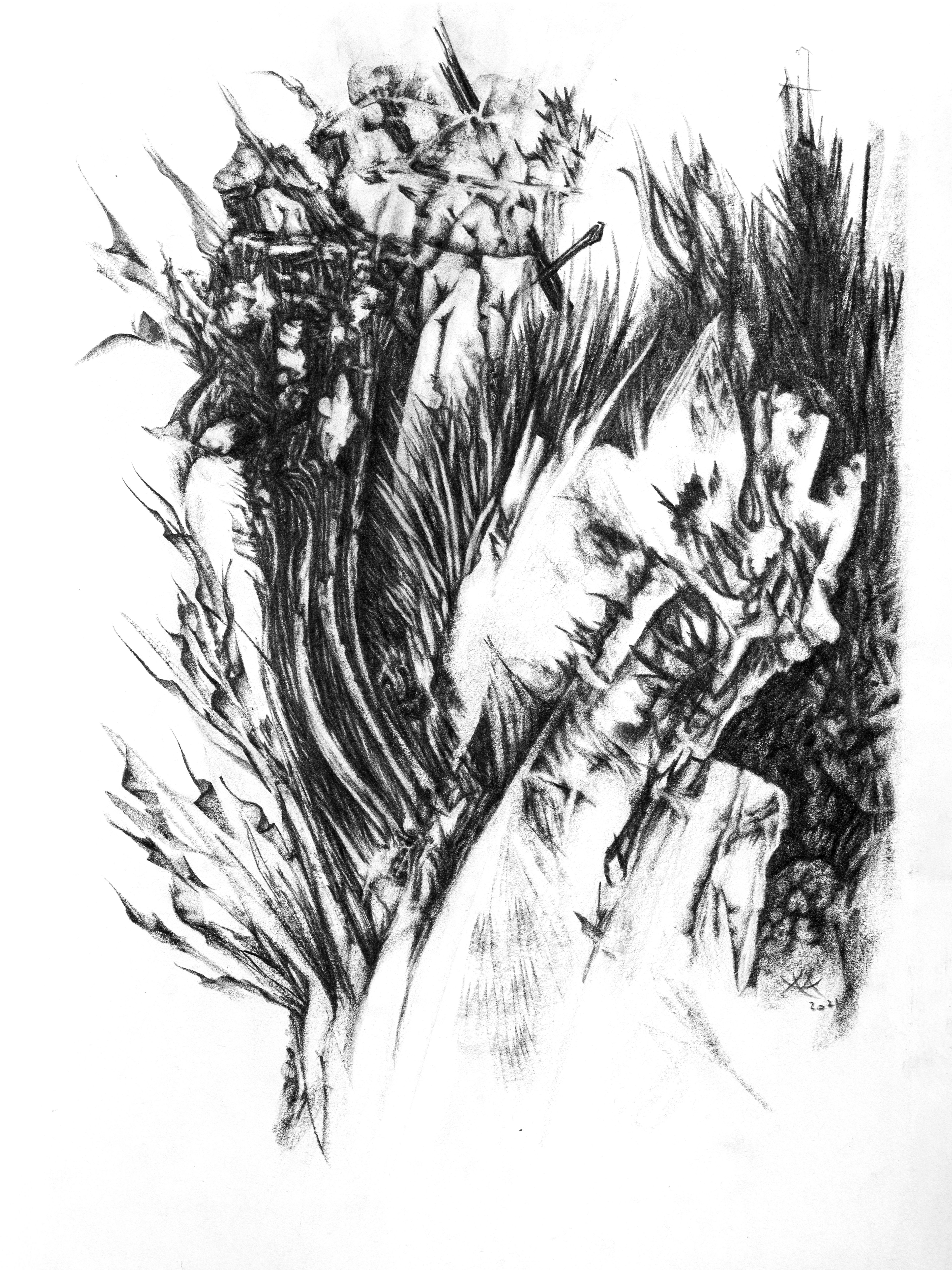 Père — Graphite sur papier — 40 x 30 cm