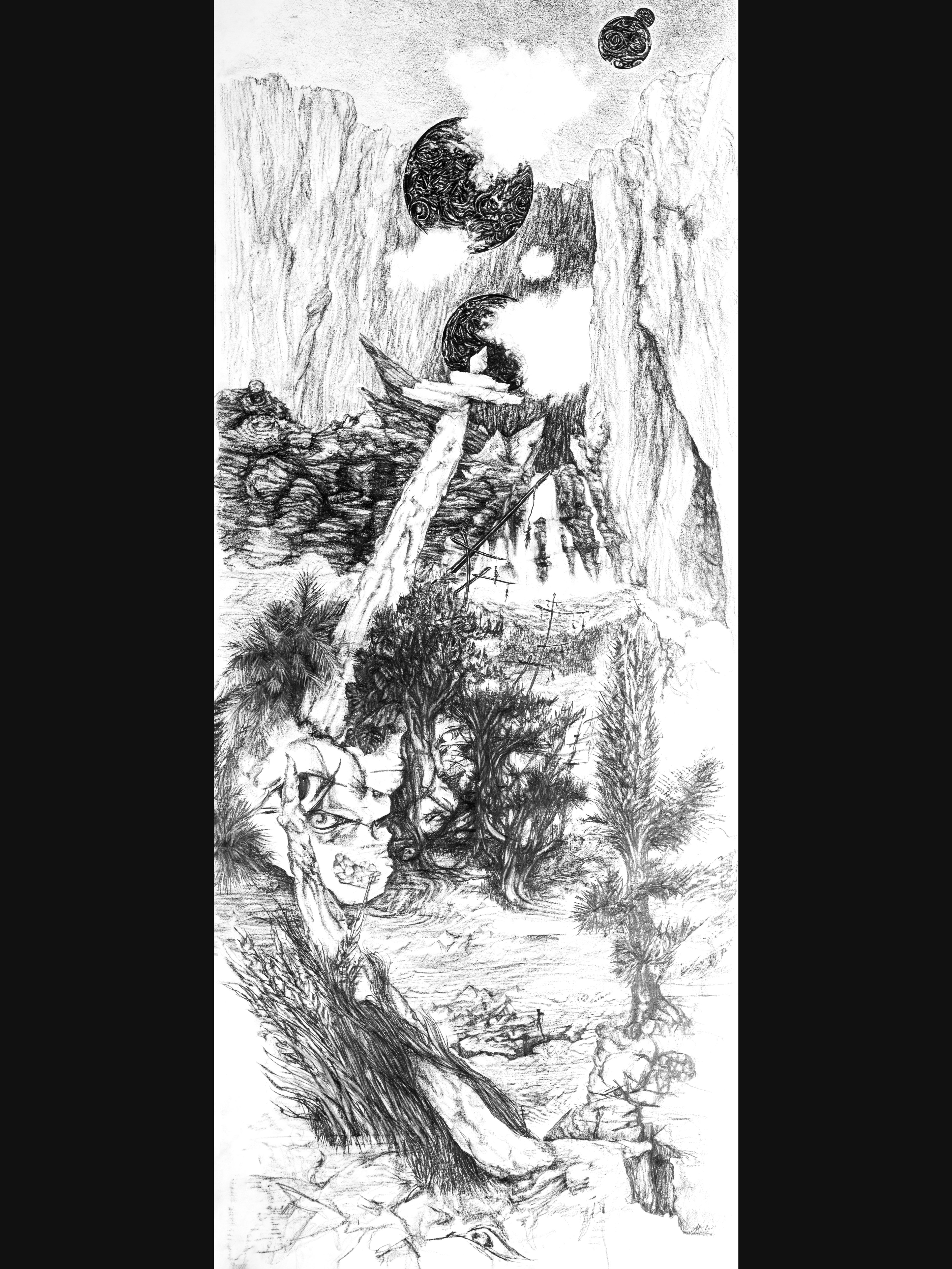 Nymphose 3 — Graphite sur papier — 150 x 60 cm