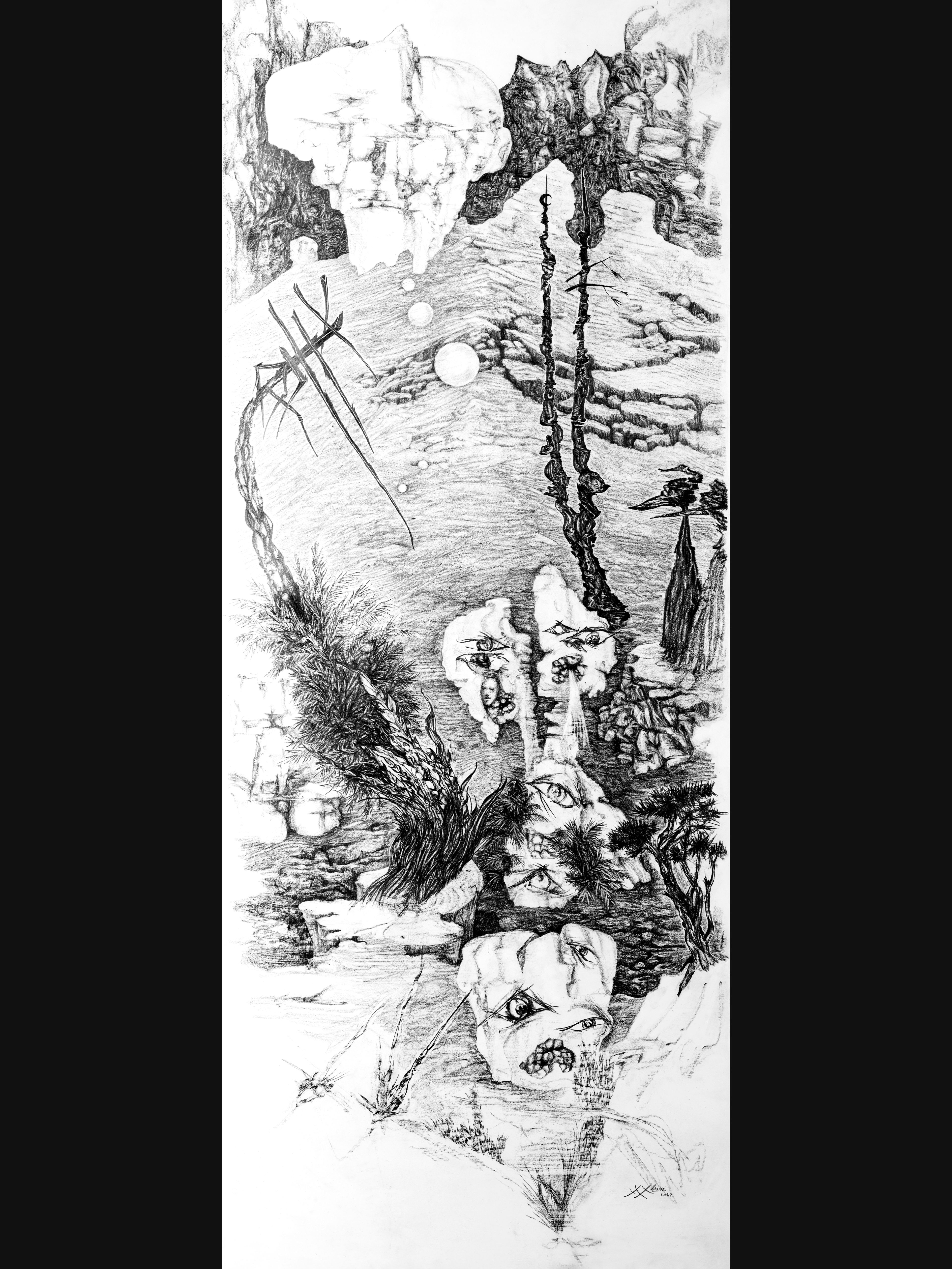Nymphose 4 — Graphite sur papier — 150 x 60 cm