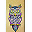 Fancy 3D Designer Owl Mobile Cover For Apple IPhone 5 & IPhone 5s