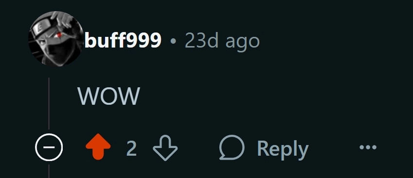 Reddit comment screenshot 12