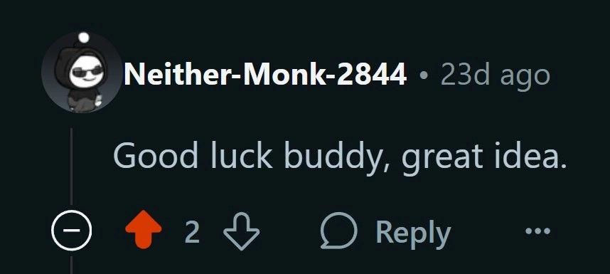 Reddit comment screenshot 19