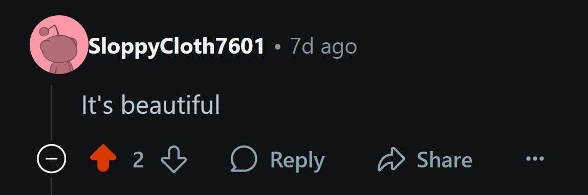 Reddit comment screenshot 35