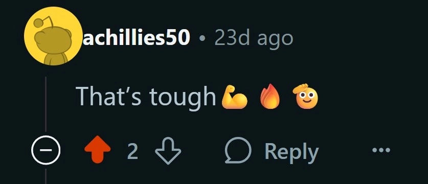 Reddit comment screenshot 4