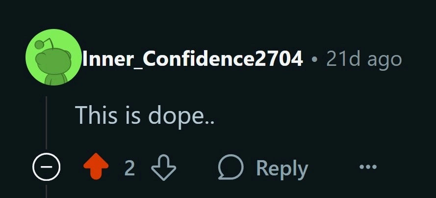 Reddit comment screenshot 6
