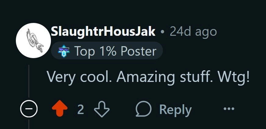 Reddit comment screenshot 8
