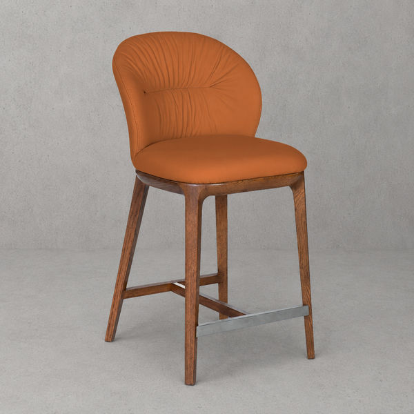 Frank Counter Stool