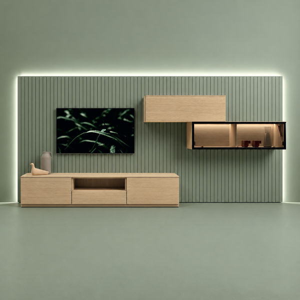 Wall Unit Composition 1005