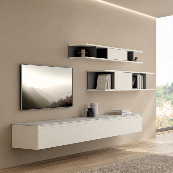 Wall Unit Composition 1006