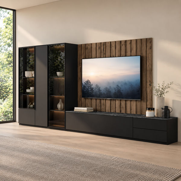 Wall Unit Composition 1008
