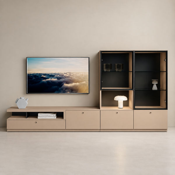Wall Unit Composition 1010