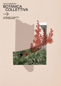 Botanica Collettiva Studiopepe 