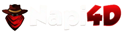 NAPI4D logo