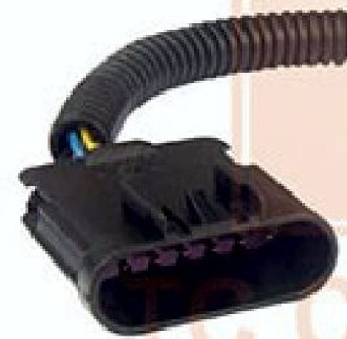 23149