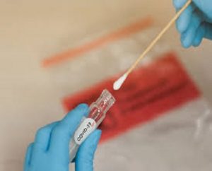 Sample Specimen in Q-Tip Fit to fly covid and sti tests PCR Home