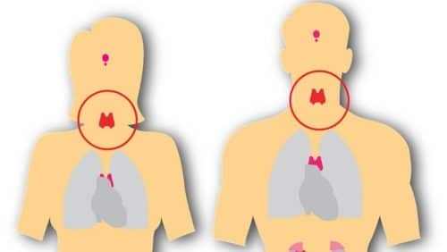 Private Tests at Home, same day STI, Cardiac arrest –