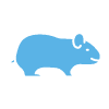 Animal Allergy Profile Clinic Test - Guinea pig
