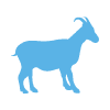 Animal Allergy Profile Test – Clinic Visit - Goat