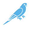 Animal Allergy Profile Test – Clinic Visit - Budgerigar