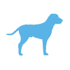 Animal Allergy Profile Test – Clinic Visit - Dog