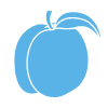 Fruit Allergy Profile Clinic Test - Apricot