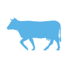 Animal Allergy Profile Test – Clinic Visit - Cow