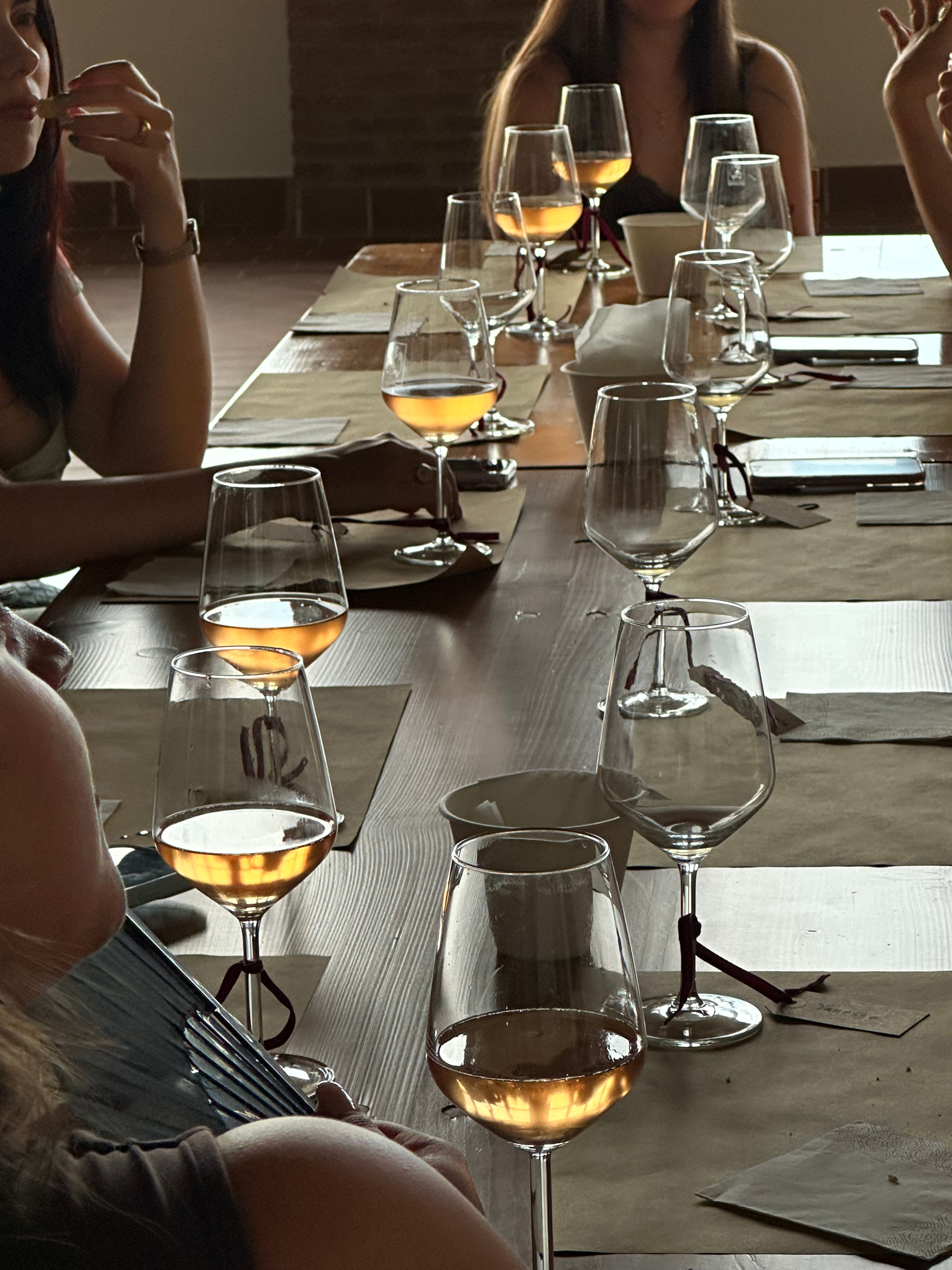 Wine Experience