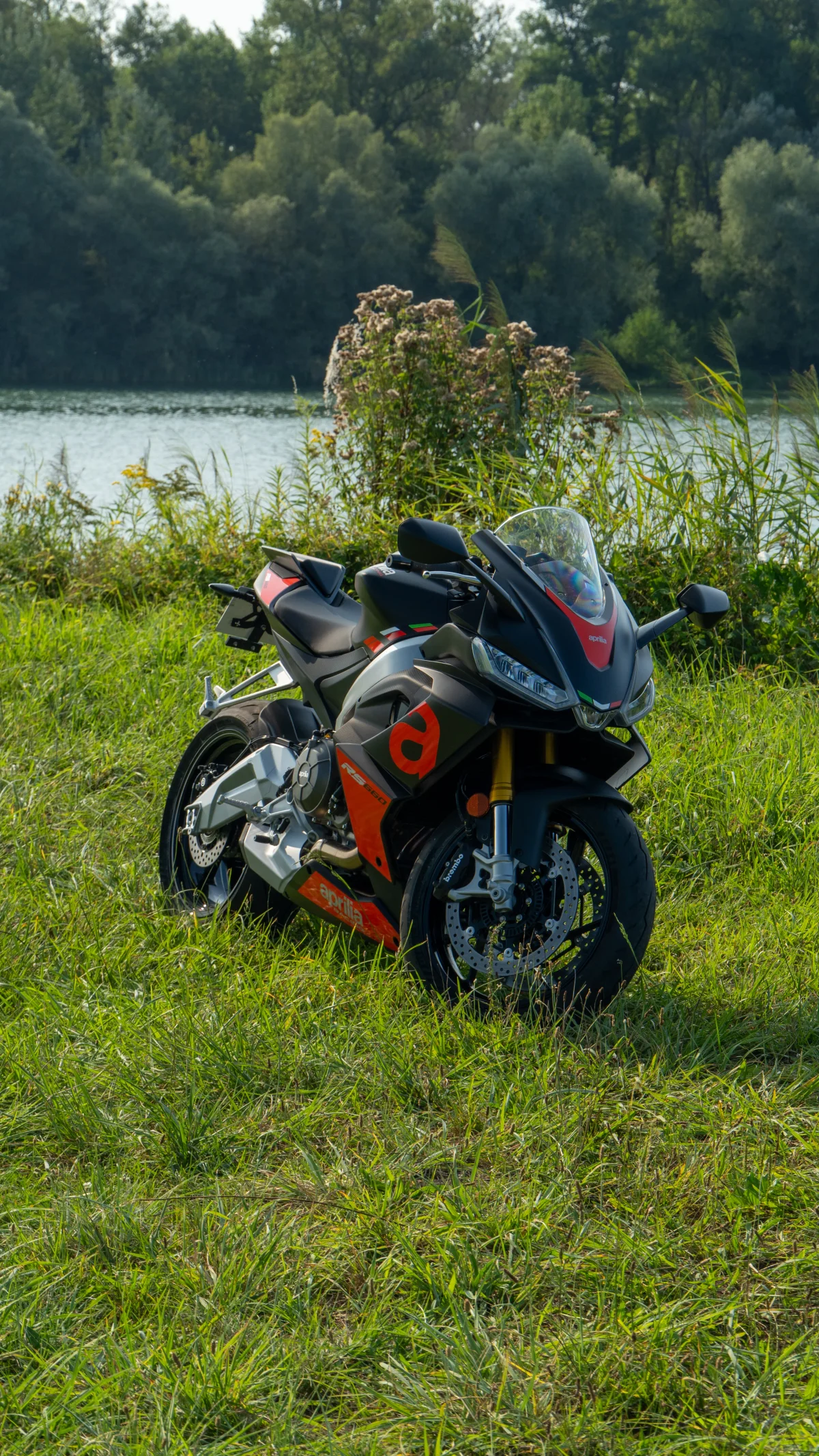Aprilia RS660 grass