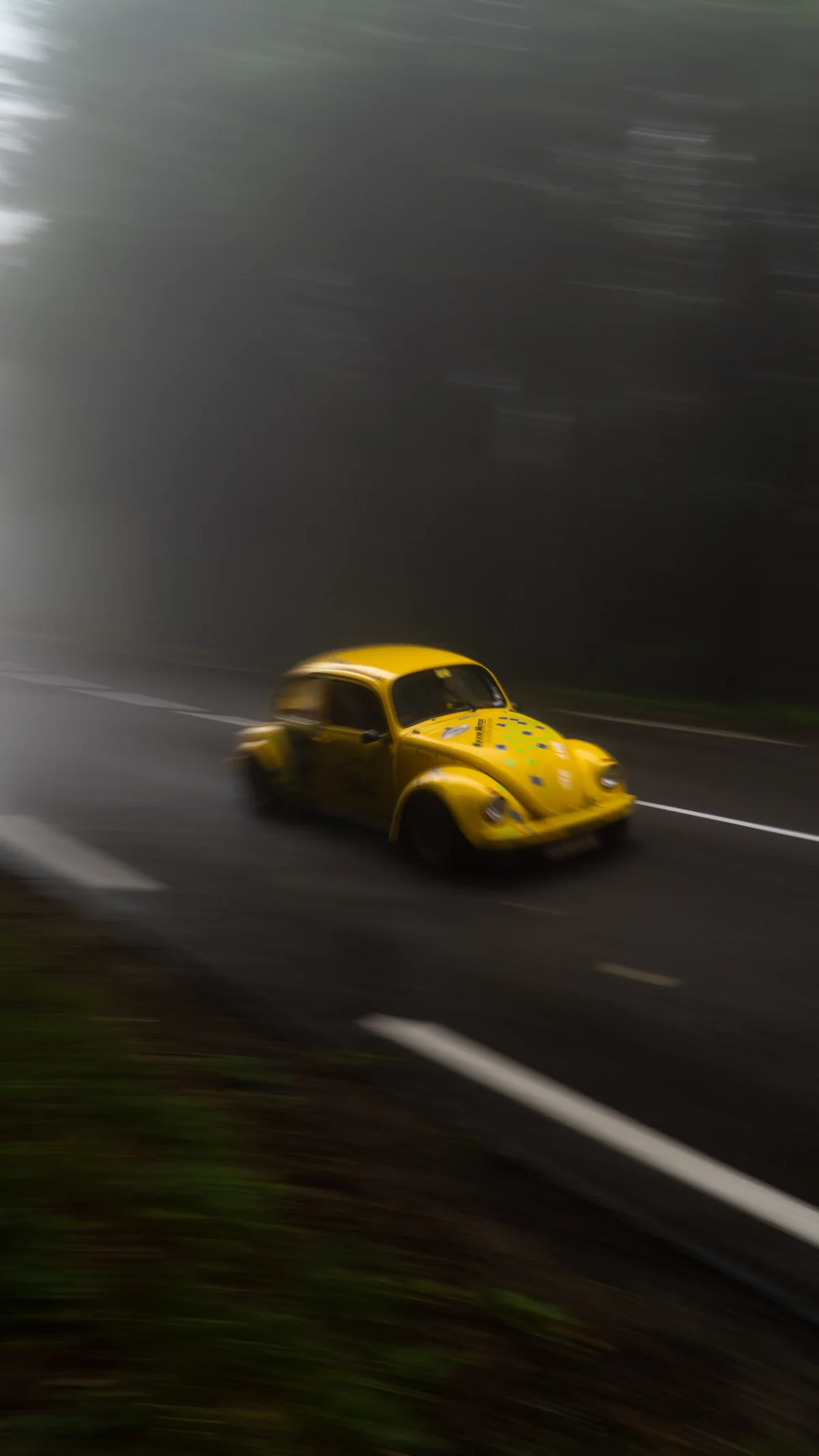 VW Coccinelle Rally