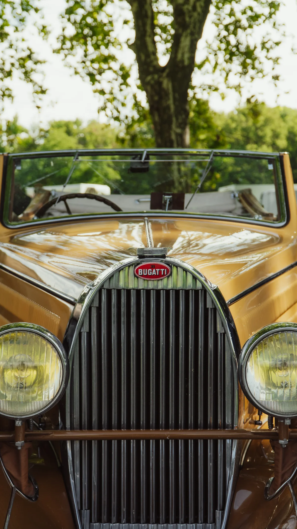 Bugatti front light calandre