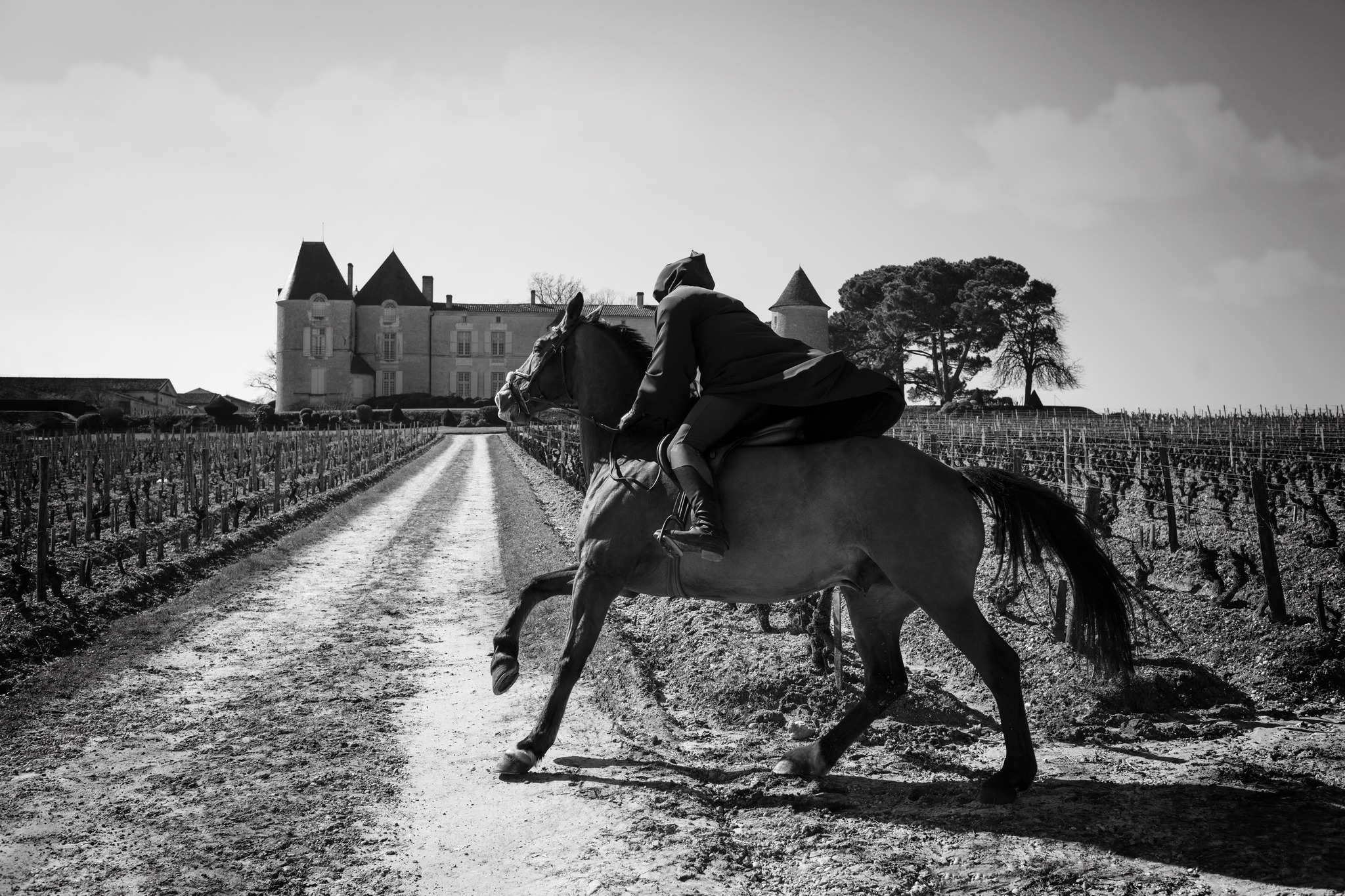 Yquem in the eye of… Tom Claeren - monette