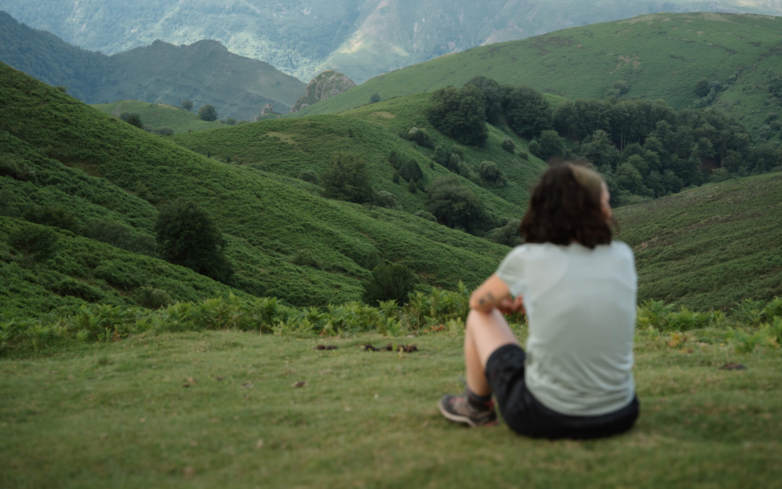 Château Léoville Poyferré - monette