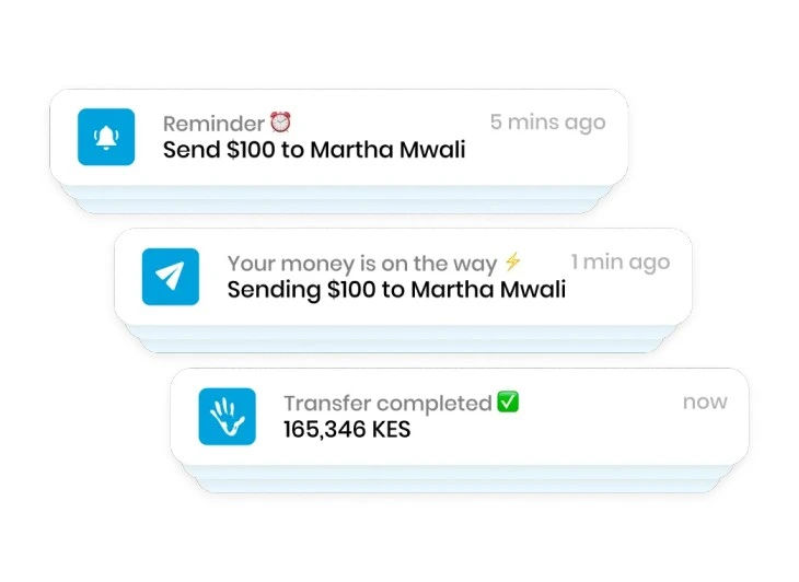 Nala money transfer