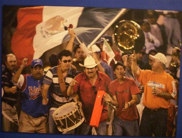Mexican baseball fans