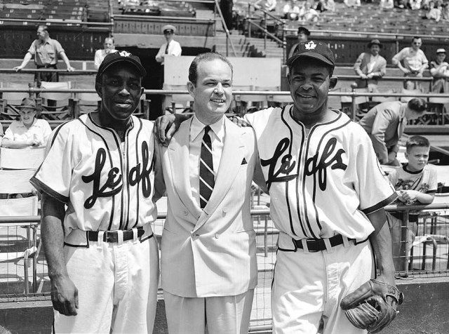 maple leafs baseball