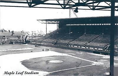 maple leaf stadium