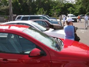 smashy smashy smashy smashy