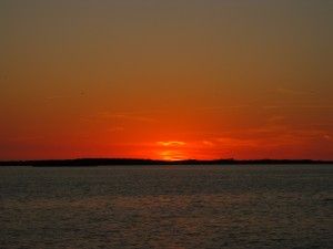Dunedin Sunset