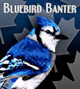 2010 Toronto Blue Jays Roundtable Part 1