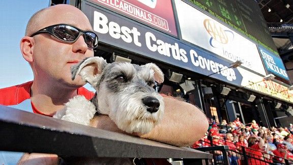 dog ballpark