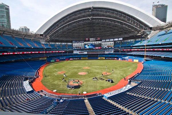 Why You Should Go To The Ballgame (In Case You Forgot!)