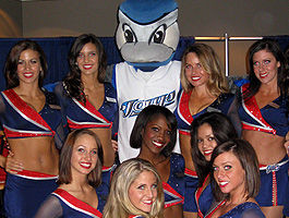 The Blue Jay Bop