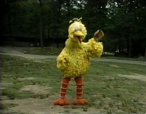 Big Bird Loves The Toronto Blue Jays