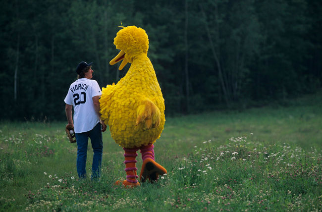 bird_fydrich