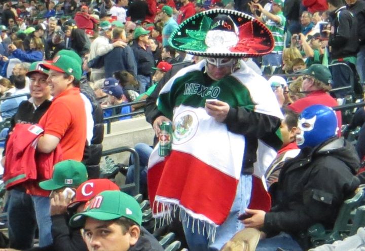 Mexican Fans