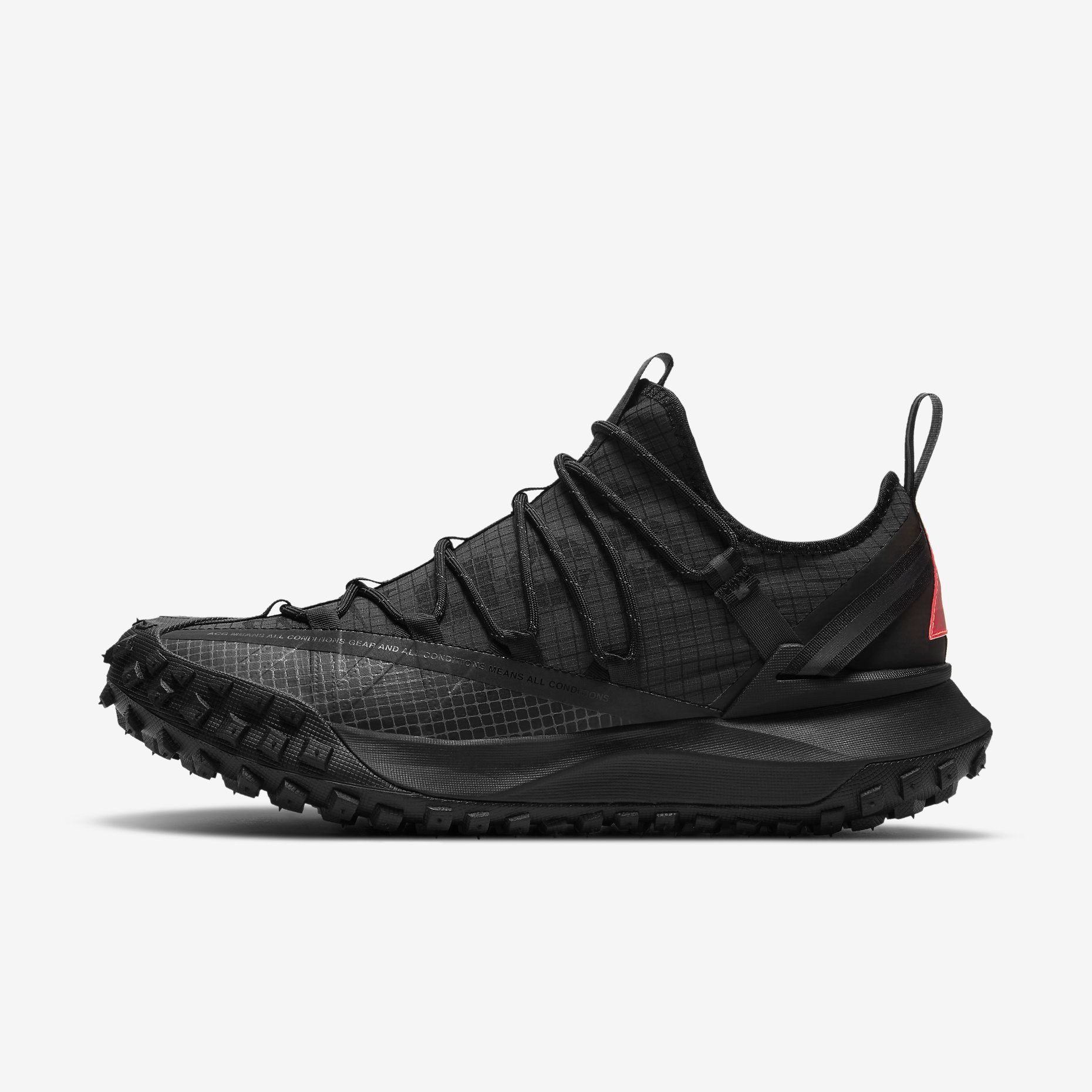 acg mountain fly low fossil stone