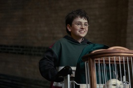Harry Potter